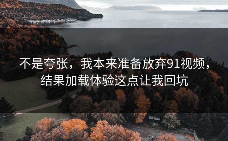 不是夸张，我本来准备放弃91视频，结果加载体验这点让我回坑
