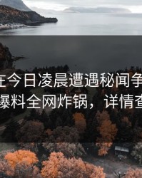神秘人在今日凌晨遭遇秘闻争议四起，51爆料全网炸锅，详情查看
