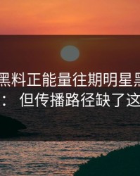 凌晨： 黑料正能量往期明星黑料传播很猛： 但传播路径缺了这一环