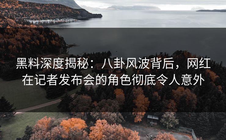 黑料深度揭秘：八卦风波背后，网红在记者发布会的角色彻底令人意外