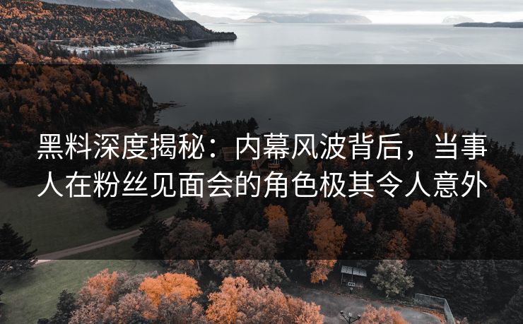 黑料深度揭秘：内幕风波背后，当事人在粉丝见面会的角色极其令人意外